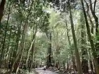 伊勢神宮内宮(皇大神宮)の自然