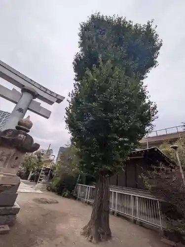 住吉神社(東京都)