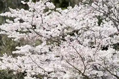 神谷稲荷明神社の自然