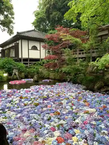 楽法寺（雨引観音）のその他建物