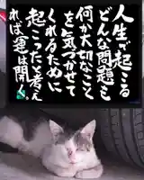 専念寺(大阪府)