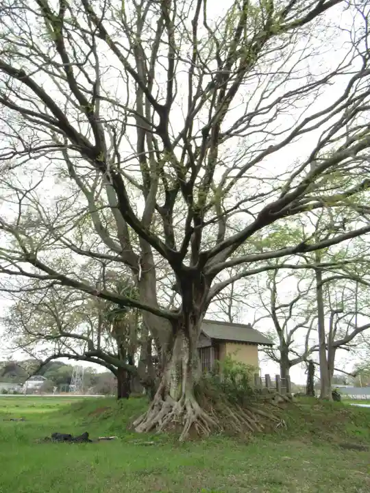 神明神社(千葉県)