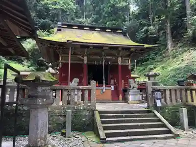 鳳来山東照宮の本殿・本堂
