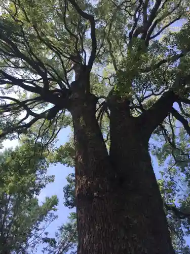 冠稲荷神社の自然