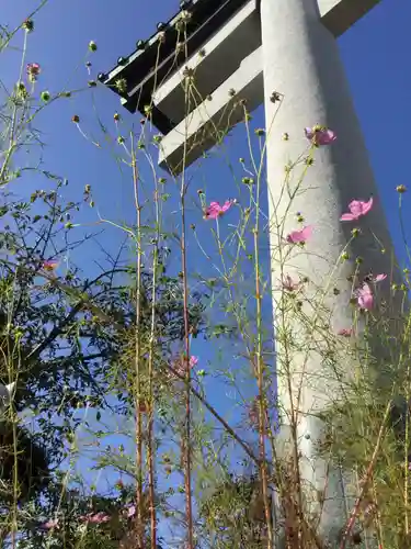 室蘭八幡宮(北海道)