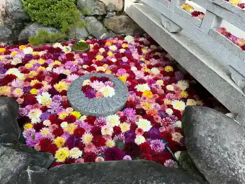 岡寺（龍蓋寺）の{uncategorized: "未分類", other: "その他", undefined: "問題あり", building: "その他建物", grave: "お墓", sacred_gate: "鳥居", guardian: "狛犬", statue: "像", buddha: "仏像", history: "歴史", nature: "自然", garden: "庭園", animal: "動物", pagoda: "塔", temizu: "手水舎", mountain_gate: "山門・神門", sanctuary: "本殿・本堂", subordinate: "末社・摂社", art: "芸術", scenery: "景色", jizo: "地蔵", ema: "絵馬", goshuin: "御朱印", omikuji: "おみくじ", items: "授与品その他", amulet: "お守り", goshuincho: "御朱印帳", eats: "食事", festival: "お祭り", votive_dance: "神楽", shichigosan: "七五三参", wedding: "結婚式", experience: "体験その他", initially: "初詣", around: "周辺", anti_infection: "感染症対策"}