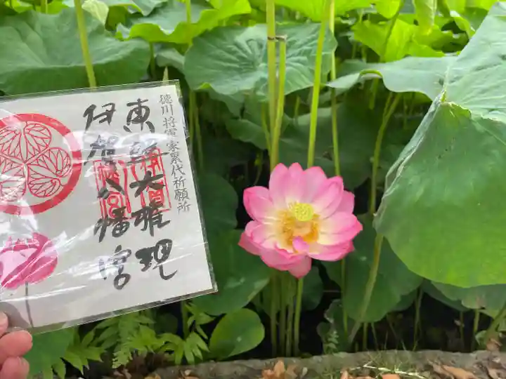 伊賀八幡宮の自然