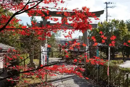 滑川神社 - 仕事と子どもの守り神の鳥居