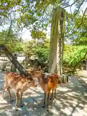 東大寺(奈良県)