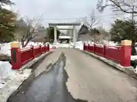 札幌護國神社の鳥居