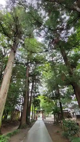 八幡神社の鳥居