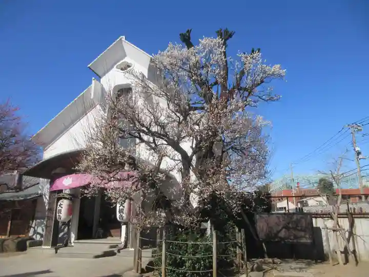 光源寺(東京都)