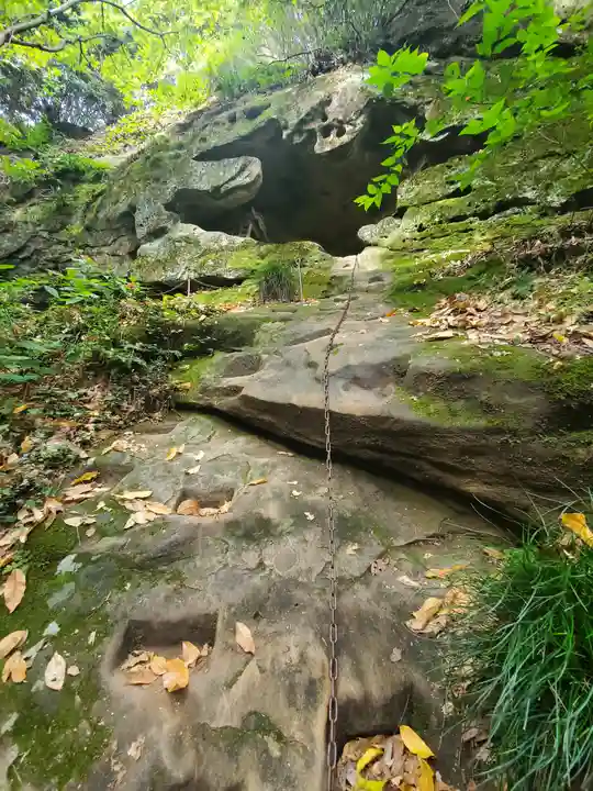 秩父札所三十二番 法性寺の自然