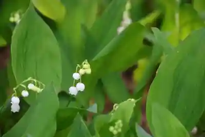 阿邪訶根神社の自然