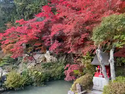 大国寺(兵庫県)