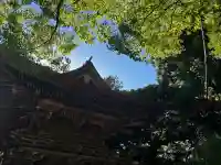 府八幡宮の{uncategorized: "未分類", other: "その他", undefined: "問題あり", building: "その他建物", grave: "お墓", sacred_gate: "鳥居", guardian: "狛犬", statue: "像", buddha: "仏像", history: "歴史", nature: "自然", garden: "庭園", animal: "動物", pagoda: "塔", temizu: "手水舎", mountain_gate: "山門・神門", sanctuary: "本殿・本堂", subordinate: "末社・摂社", art: "芸術", scenery: "景色", jizo: "地蔵", ema: "絵馬", goshuin: "御朱印", omikuji: "おみくじ", items: "授与品その他", amulet: "お守り", goshuincho: "御朱印帳", eats: "食事", festival: "お祭り", votive_dance: "神楽", shichigosan: "七五三参", wedding: "結婚式", experience: "体験その他", initially: "初詣", around: "周辺", anti_infection: "感染症対策"}
