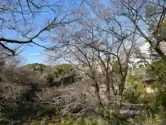 天台宗　長窪山　正覚寺の自然