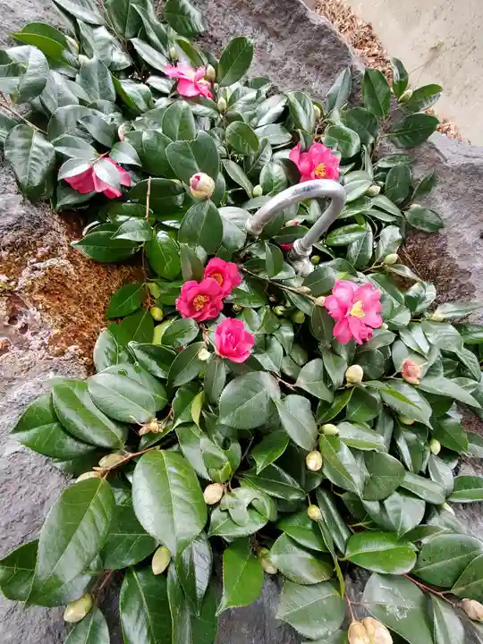 愛宕神社(福島県)