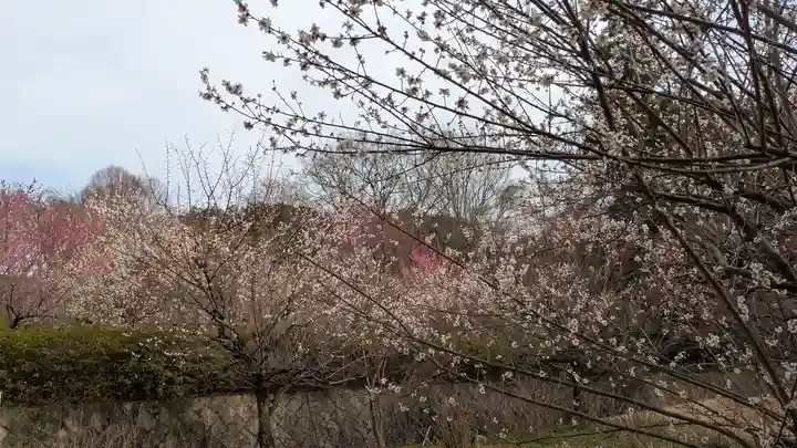 智積院(京都府)
