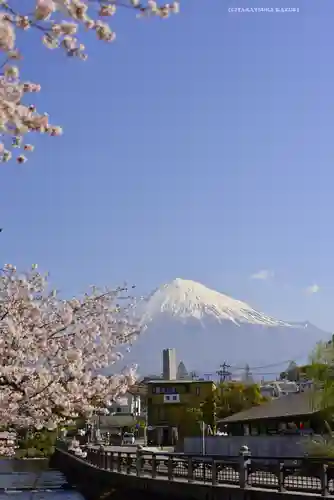 富士山本宮浅間大社(静岡県)