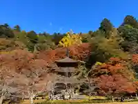 金剛院(京都府)