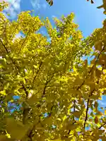 伊達神社(北海道)