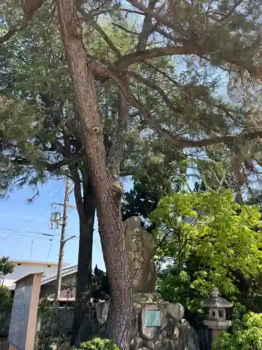 荒井神社(兵庫県)