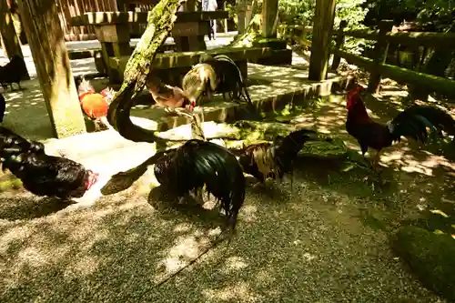 石上神宮(奈良県)