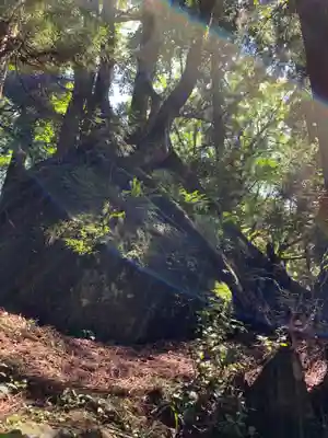 大矢谷白山神社の周辺