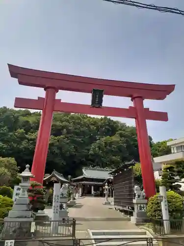 武州柿生琴平神社の鳥居