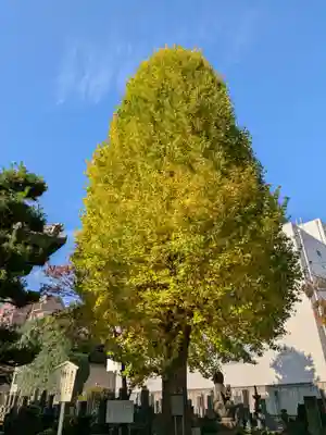 瑞円寺(東京都)