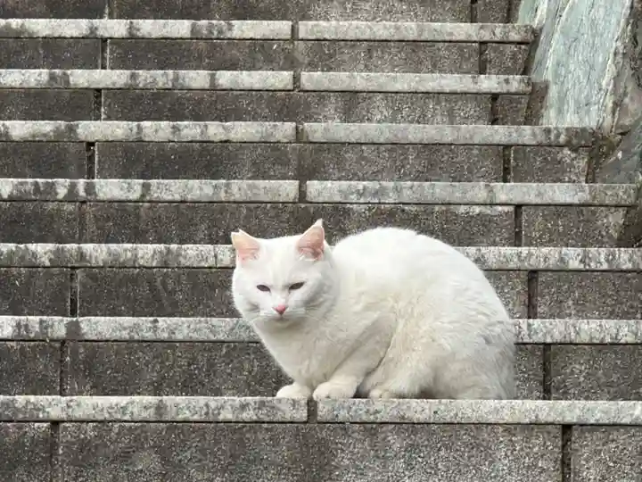 王子神社の動物