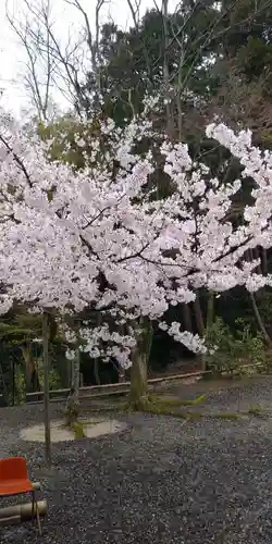 日吉東照宮の自然