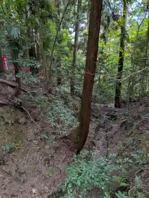宝登山神社(埼玉県)