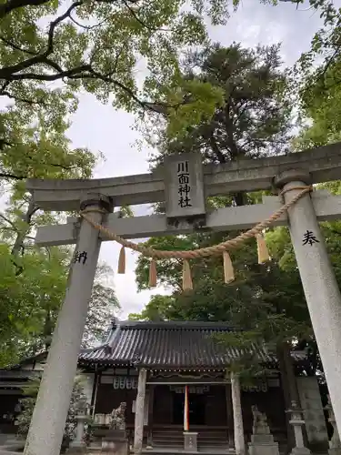 川面神社の鳥居