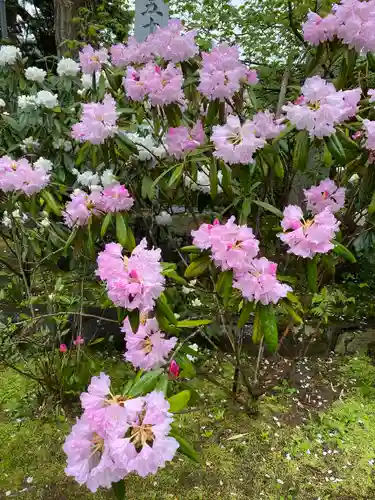 高照寺(兵庫県)