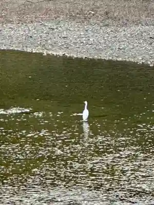伊勢神宮内宮（皇大神宮）(三重県)