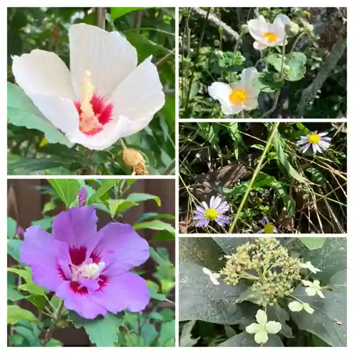 瑞泉寺(神奈川県)