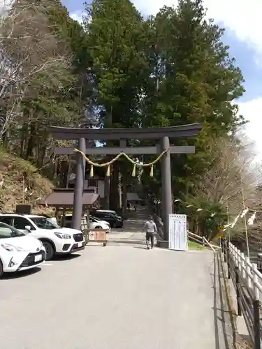 戸隠神社中社の鳥居