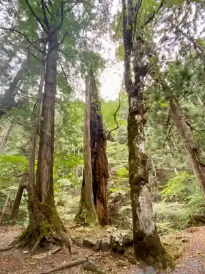 大神宮社(京都府)