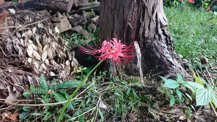 火牟須比神社の自然