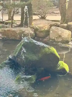 早瀧比咩神社(岡山県)