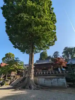 瀧宮神社(埼玉県)