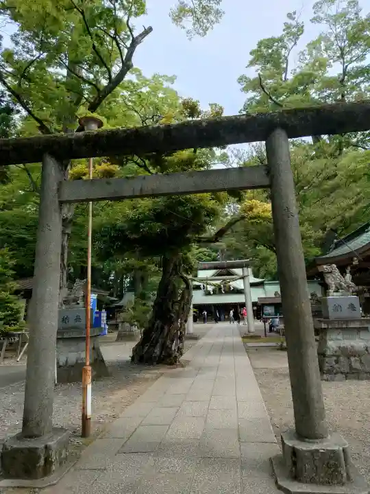 一言主神社(茨城県)