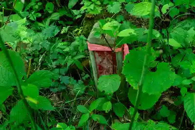諏訪大社(長野県)