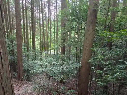 岩船寺(京都府)