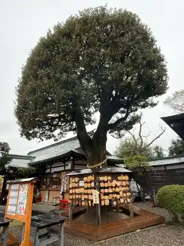 足利織姫神社(栃木県)
