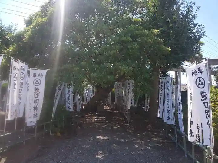 龍口明神社の自然