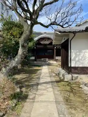 蓮乗院の{uncategorized: "未分類", other: "その他", undefined: "問題あり", building: "その他建物", grave: "お墓", sacred_gate: "鳥居", guardian: "狛犬", statue: "像", buddha: "仏像", history: "歴史", nature: "自然", garden: "庭園", animal: "動物", pagoda: "塔", temizu: "手水舎", mountain_gate: "山門・神門", sanctuary: "本殿・本堂", subordinate: "末社・摂社", art: "芸術", scenery: "景色", jizo: "地蔵", ema: "絵馬", goshuin: "御朱印", omikuji: "おみくじ", items: "授与品その他", amulet: "お守り", goshuincho: "御朱印帳", eats: "食事", festival: "お祭り", votive_dance: "神楽", shichigosan: "七五三参", wedding: "結婚式", experience: "体験その他", initially: "初詣", around: "周辺", anti_infection: "感染症対策"}