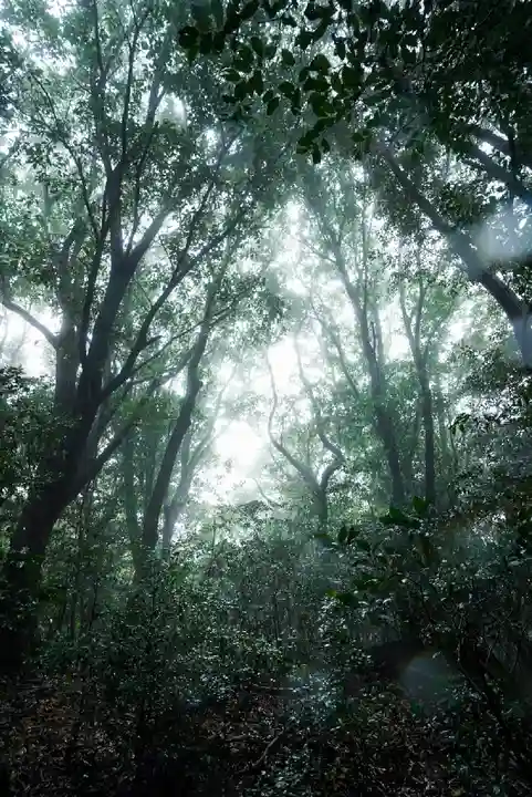 南原寺(山口県)